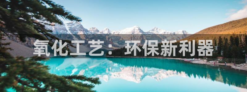 亿万国际游戏官网：氧化工艺：环保新利器