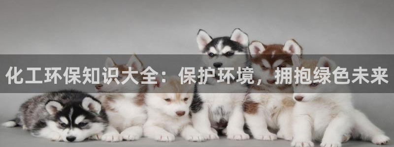 亿万城市手游官网