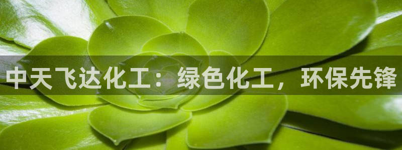 亿万先生007官网：中天飞达化工：绿色化工，环保先锋