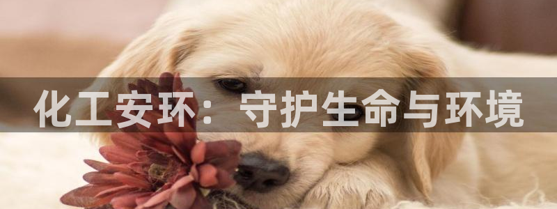 亿万万作者：化工安环：守护生命与环境