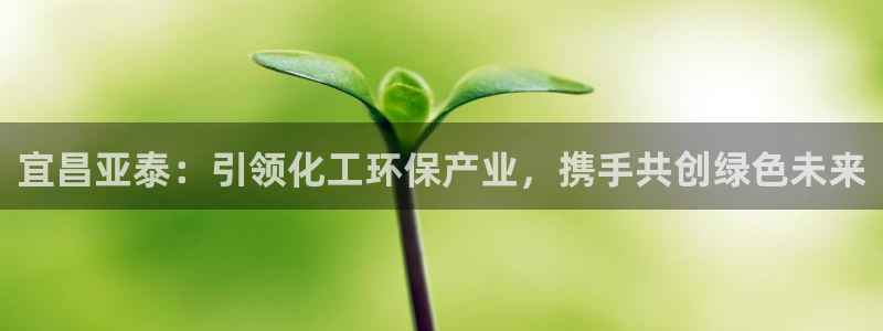 亿万网友在线解答：宜昌亚泰：引领化工环保产业，携手共创绿色未来