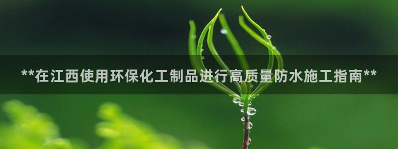 官方网站下载亿万人生：**在江西使用环保化工制品进行高质量防水施工指南**