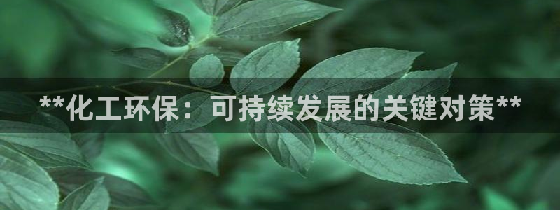 亿万的亿：**化工环保：可持续发展的关键对策**