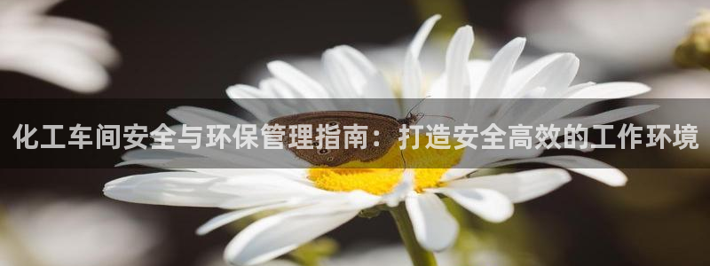 亿万先生客服联系电话：化工车间安全与环保管理指南：打造安全高效的工作环境