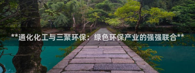 亿万讲什么：**通化化工与三聚环保：绿色环保产业的强强联合**