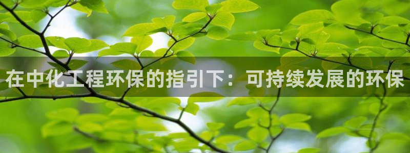 亿万网友在线实时为您解答：在中化工程环保的指引下：可持续发展的环保