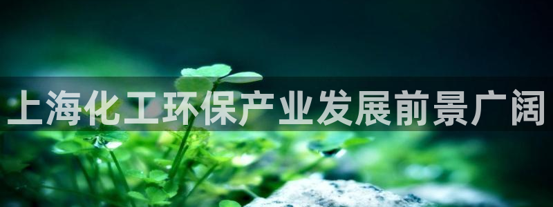 亿万先生007网页登录不了：上海化工环保产业发展前景广阔