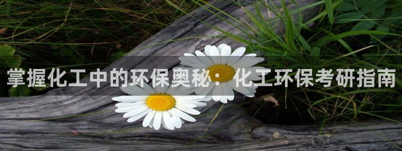 亿万第一集：掌握化工中的环保奥秘：化工环保考研指南