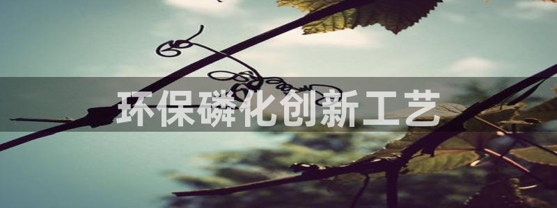 亿万国际游戏官网：环保磷化创新工艺