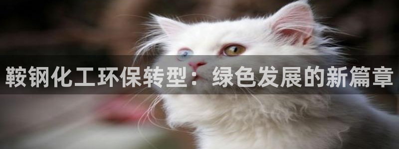 亿万网友在线实时为你解答：鞍钢化工环保转型：绿色发展的新篇章