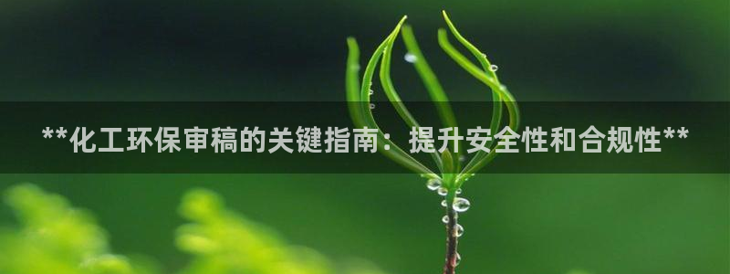 亿万讲了什么：**化工环保审稿的关键指南：提升安全性和合规性**