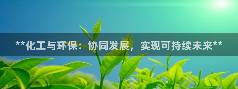 亿万同人字幕组微博的微博：**化工与环保：协同发展，实现可持续未来**