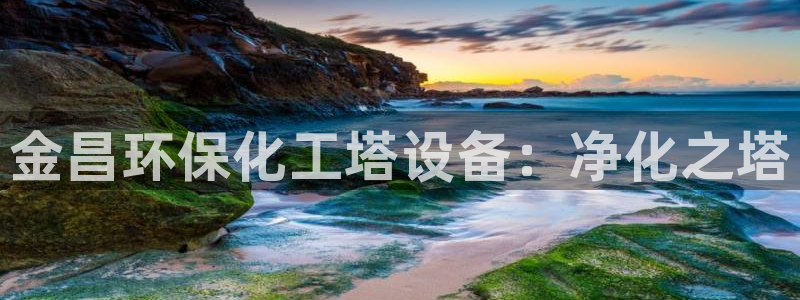 亿万手游官网首页：金昌环保化工塔设备：净化之塔