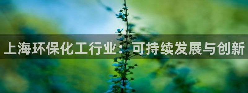 亿万先生手游下载：上海环保化工行业：可持续发展与创新