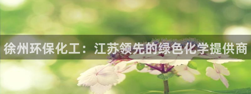 亿万第一季字幕：徐州环保化工：江苏领先的绿色化学提供商