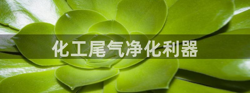 亿万堂官网：化工尾气净化利器