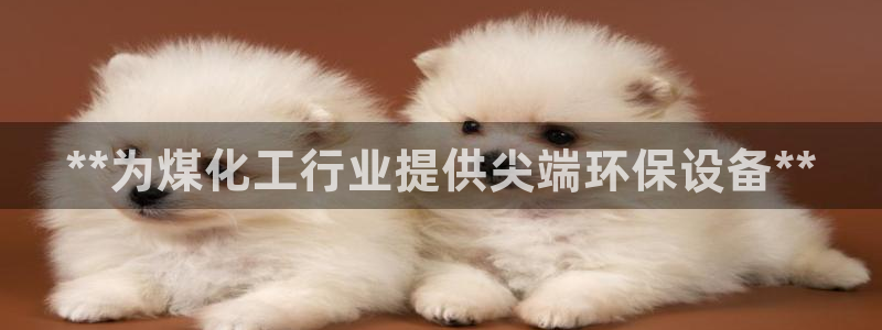 亿万先生客户端官网登录：**为煤化工行业提供尖端环保设备**