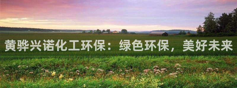 mr07亿万先生：黄骅兴诺化工环保：绿色环保，美好未来