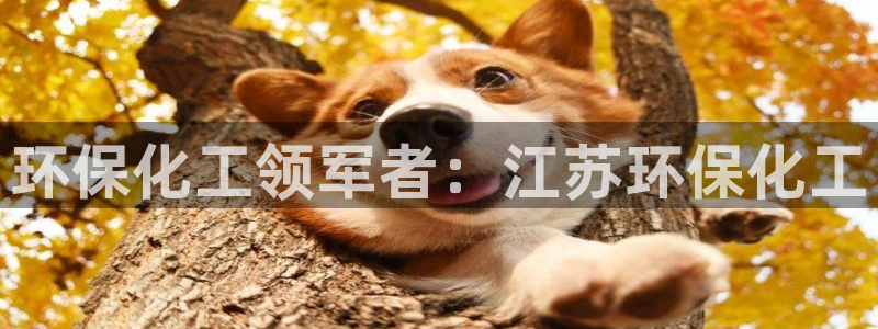 亿万网络：环保化工领军者：江苏环保化工