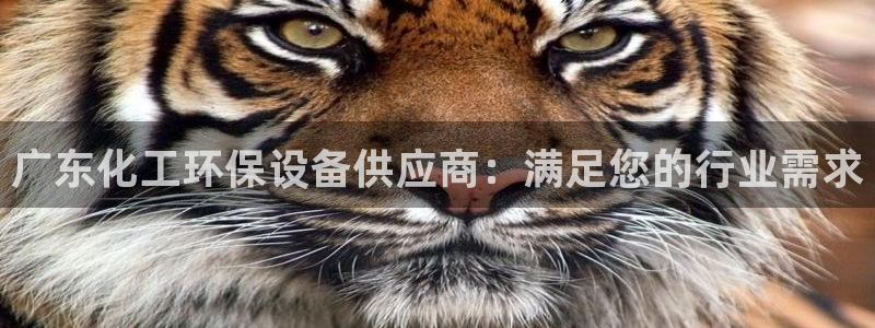 亿万先生 菲律宾：广东化工环保设备供应商：满足您的行业需求