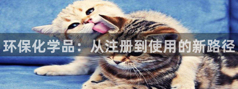 亿万先生合并最新消息：环保化学品：从注册到使用的新路径