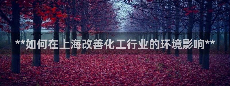 亿万先生客户端官网登录入口：**如何在上海改善化工行业的环境影响**