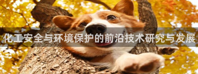 亿万堂官网：化工安全与环境保护的前沿技术研究与发展