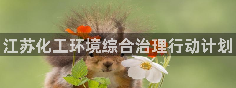 mr07亿万先生：江苏化工环境综合治理行动计划