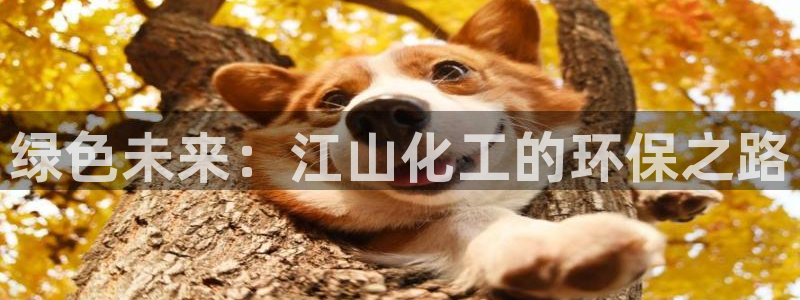 亿万先生下载网址app：绿色未来：江山化工的环保之路