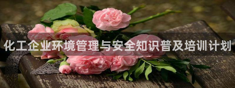 亿万网友在线解答：化工企业环境管理与安全知识普及培训计划