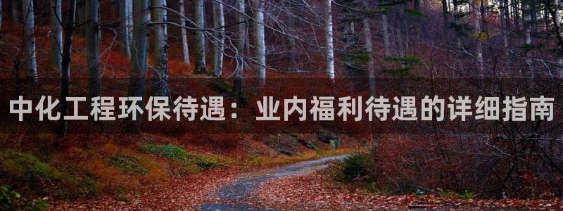 亿万先生客户端下载：中化工程环保待遇：业内福利待遇的详细指南