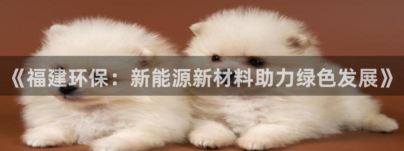 亿万先生换网址了吗：《福建环保：新能源新材料助力绿色发展》