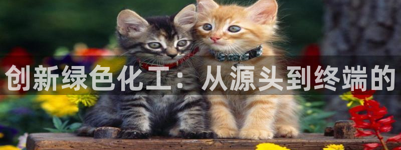 亿万集团：创新绿色化工：从源头到终端的