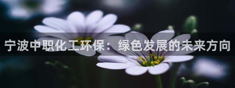 亿万先生客户端官网下载：宁波中职化工环保：绿色发展的未来方向
