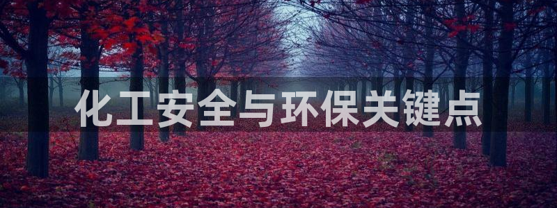 亿万先生mr07官网：化工安全与环保关键点