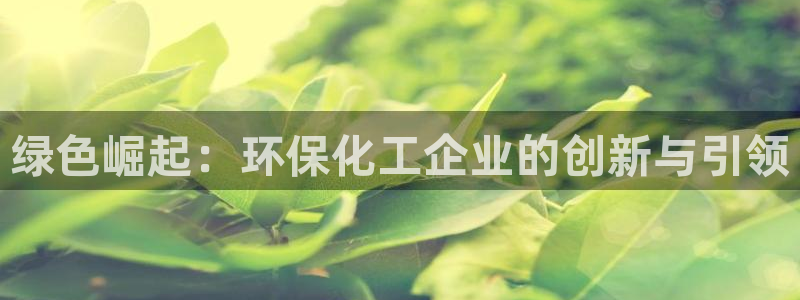 亿万先生用什么客户端：绿色崛起：环保化工企业的创新与引领