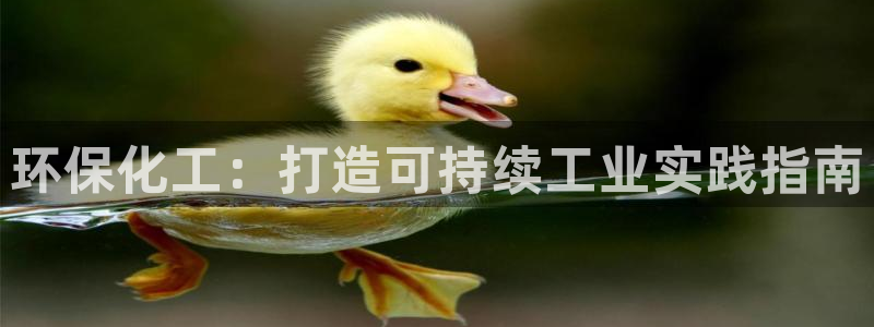 亿万国际平台是正规的吗安全吗：环保化工：打造可持续工业实践指南