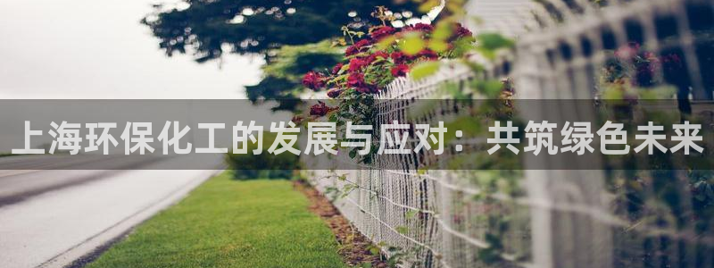 电影 亿万：上海环保化工的发展与应对：共筑绿色未来