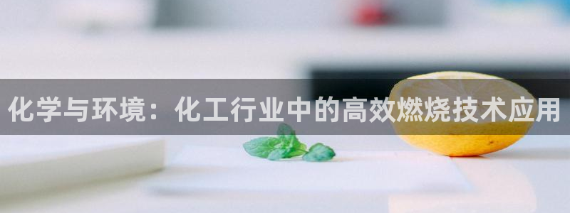 亿万网络科技有限公司：化学与环境：化工行业中的高效燃烧技术应用