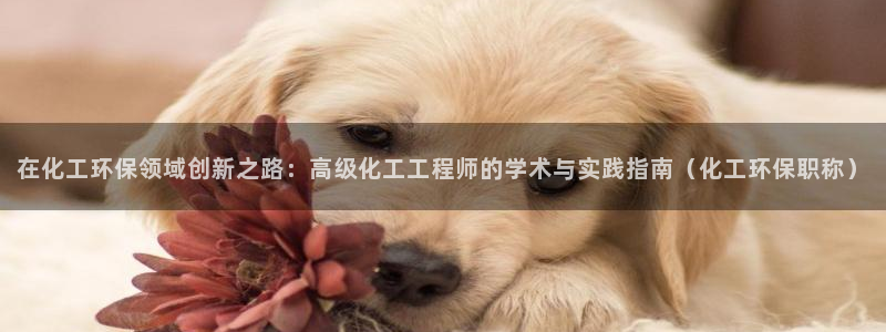 亿万首富游戏：在化工环保领域创新之路：高级化工工程师的学术与实践指南（化工环保职称）