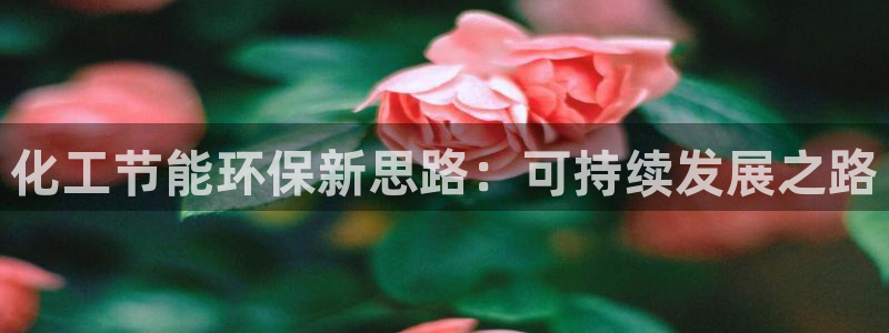 亿万先生换网址了吗：化工节能环保新思路：可持续发展之路