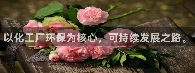 亿万第一季解说：以化工厂环保为核心，可持续发展之路。