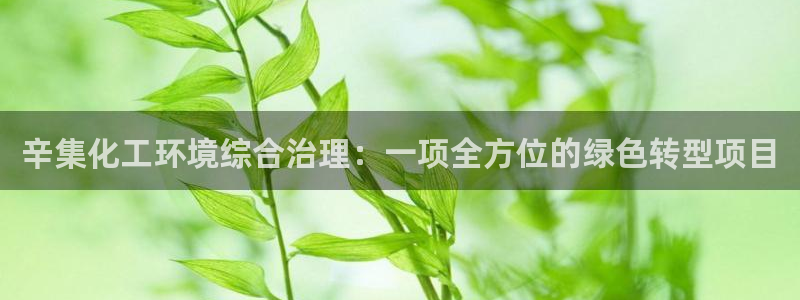 亿万先生客服联系方式是什么：辛集化工环境综合治理：一项全方位的绿色转型项目