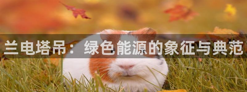 亿万先生app