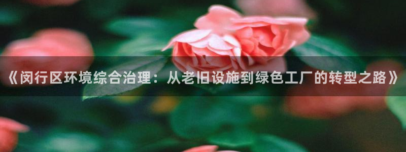 mr07亿万先生：《闵行区环境综合治理：从老旧设施到绿色工厂的转型之路》