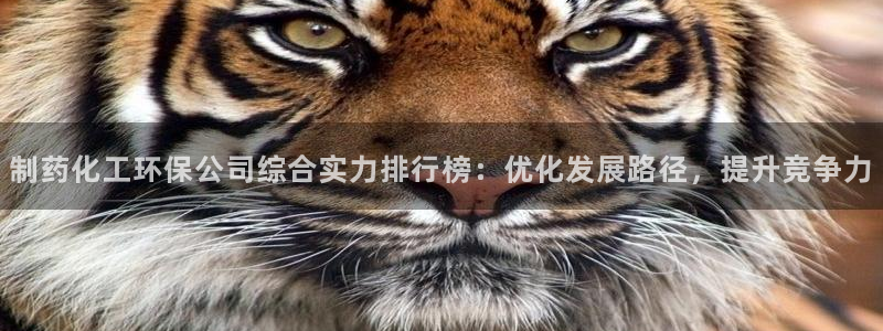 亿万国际：制药化工环保公司综合实力排行榜：优化发展路径，提升竞争力