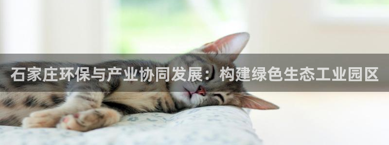 亿万国际平台是正规的吗安全吗