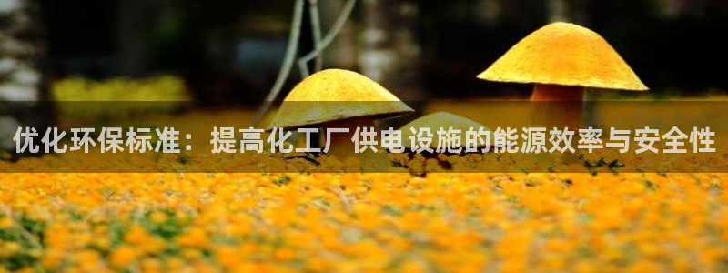 mr8001亿万先生：优化环保标准：提高化工厂供电设施的能源效率与安全性