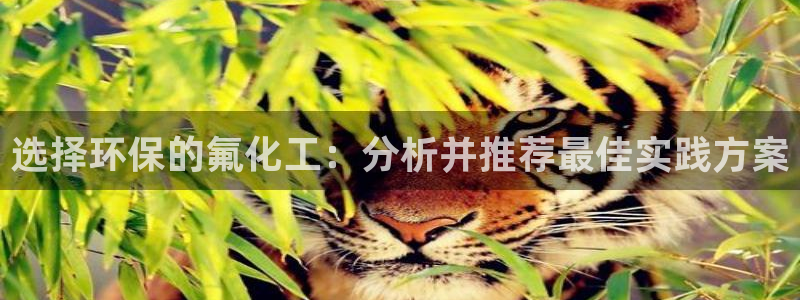 亿万先生官方登录网址：选择环保的氟化工：分析并推荐最佳实践方案