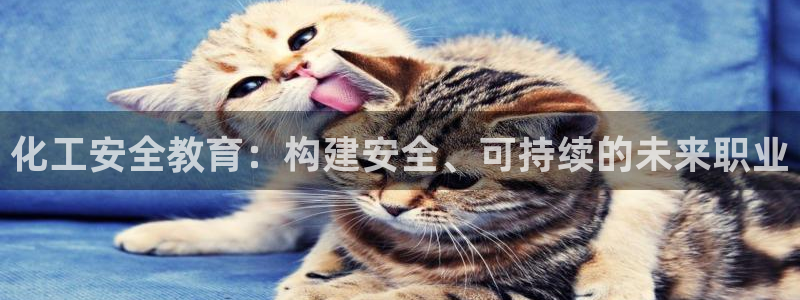 亿万先生合并网址：化工安全教育：构建安全、可持续的未来职业